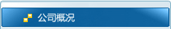 公司概况